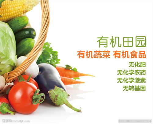 有機(jī)蔬菜與珠寶首飾 綠色健康與璀璨優(yōu)雅的視覺(jué)盛宴